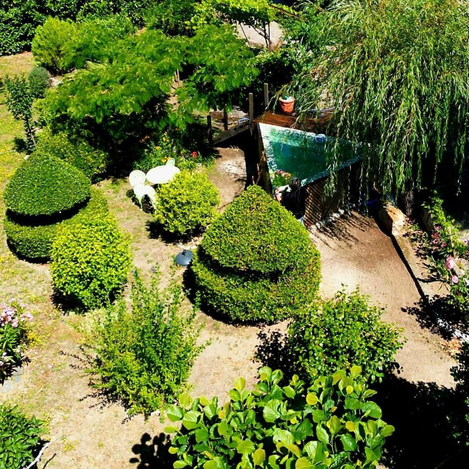 Гостевой дом Casa Do Fundo - Sustainable & Ecotourism Сейя Экстерьер фото